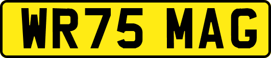 WR75MAG