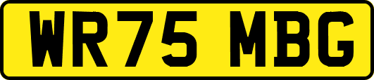 WR75MBG