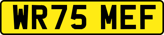 WR75MEF
