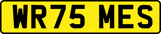 WR75MES