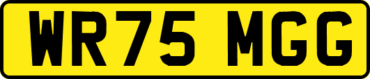 WR75MGG