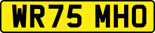 WR75MHO