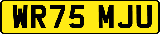 WR75MJU