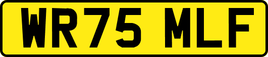 WR75MLF