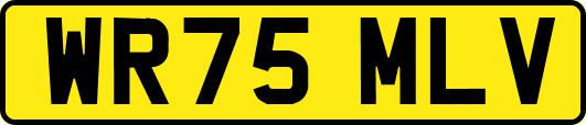 WR75MLV