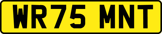 WR75MNT