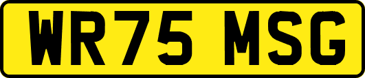 WR75MSG