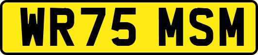 WR75MSM