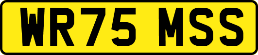 WR75MSS