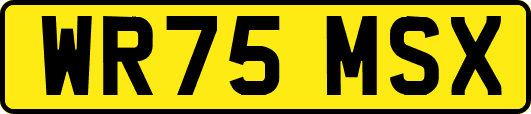 WR75MSX