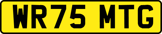 WR75MTG