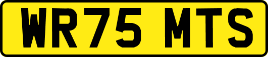 WR75MTS