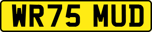 WR75MUD