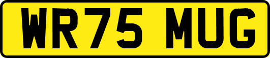 WR75MUG