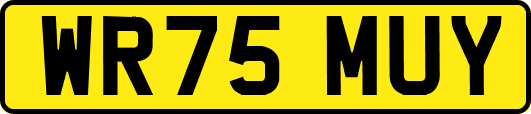 WR75MUY