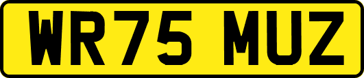 WR75MUZ