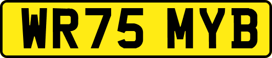 WR75MYB