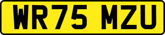 WR75MZU