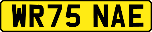 WR75NAE
