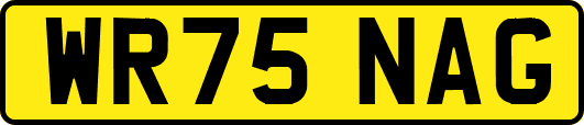 WR75NAG