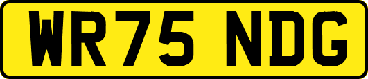 WR75NDG