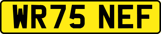 WR75NEF