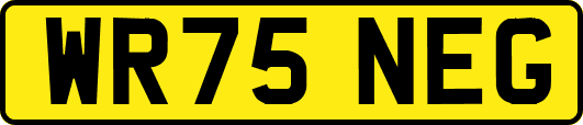 WR75NEG