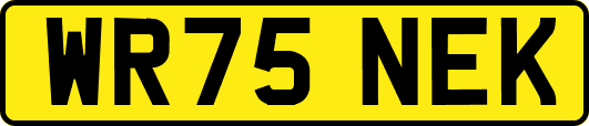 WR75NEK