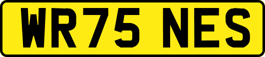 WR75NES