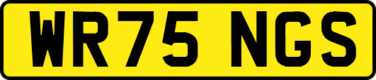 WR75NGS