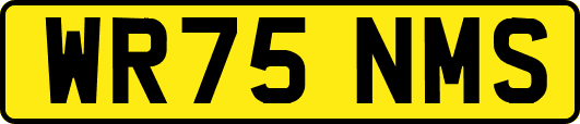 WR75NMS
