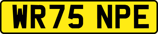 WR75NPE