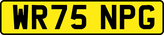 WR75NPG