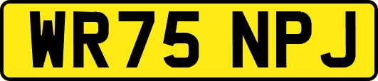 WR75NPJ