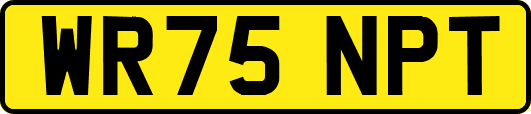 WR75NPT