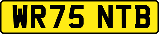 WR75NTB