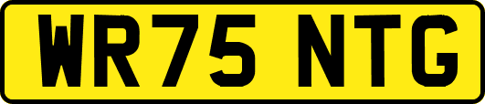 WR75NTG