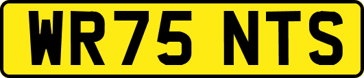 WR75NTS