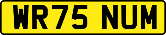 WR75NUM