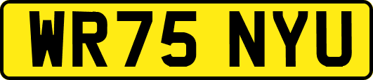 WR75NYU