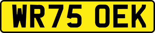 WR75OEK