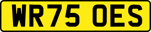 WR75OES