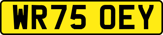 WR75OEY