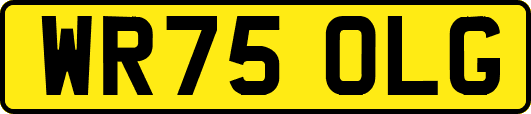WR75OLG