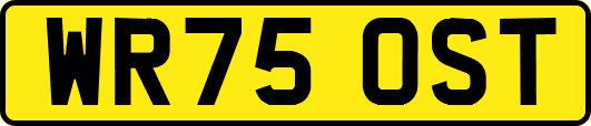 WR75OST