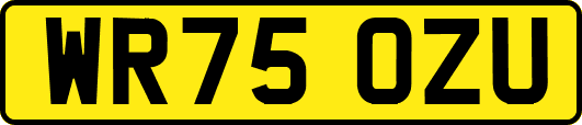 WR75OZU