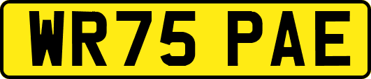 WR75PAE
