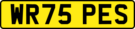 WR75PES
