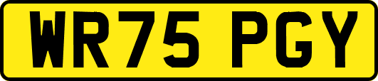 WR75PGY