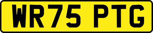 WR75PTG